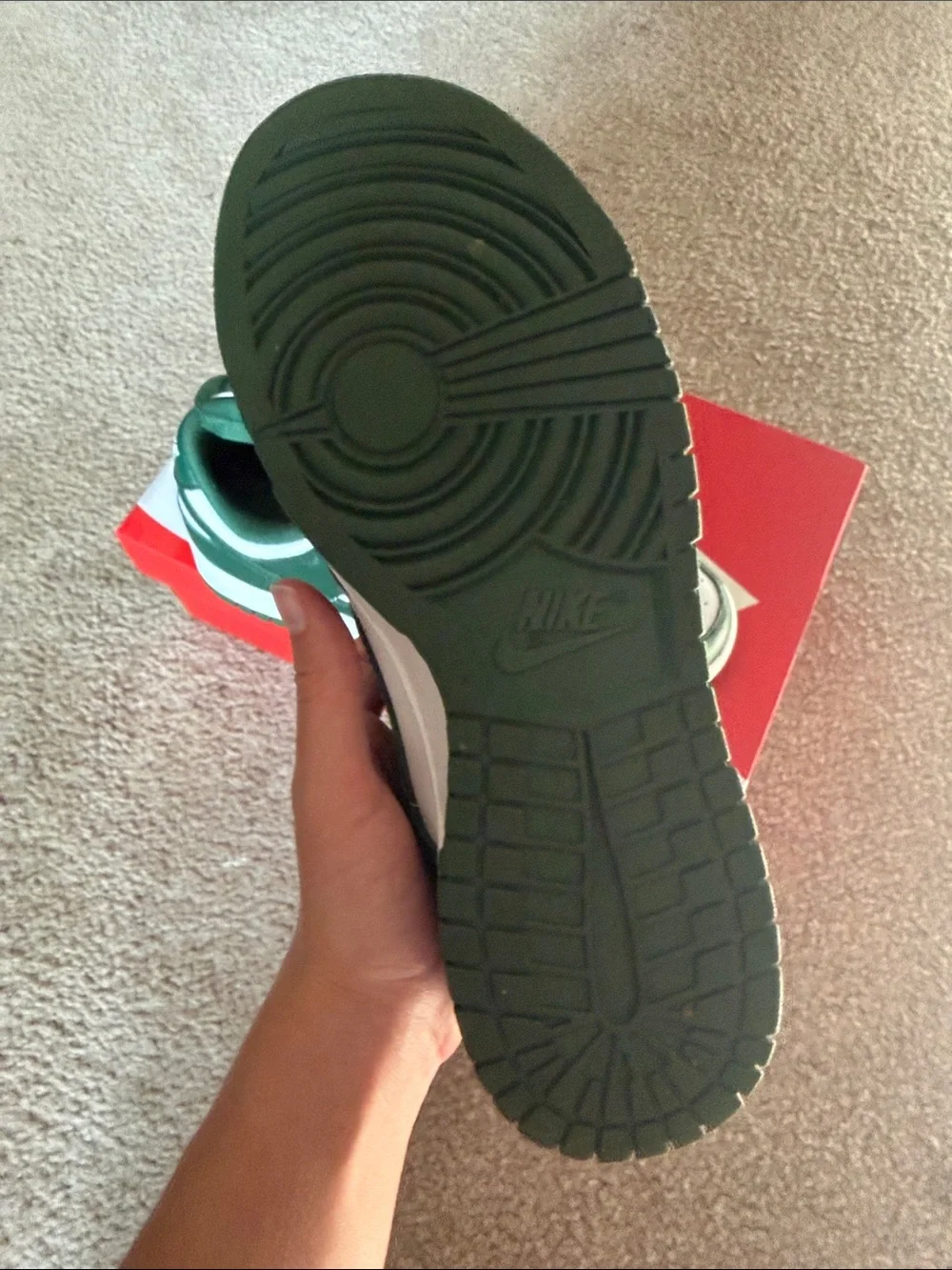 Nike Michigan State Dunks